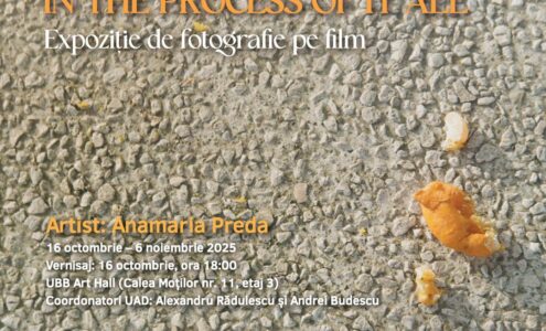 Expoziție de fotografie pe film: I might love you in the process of it all – Anamaria Preda